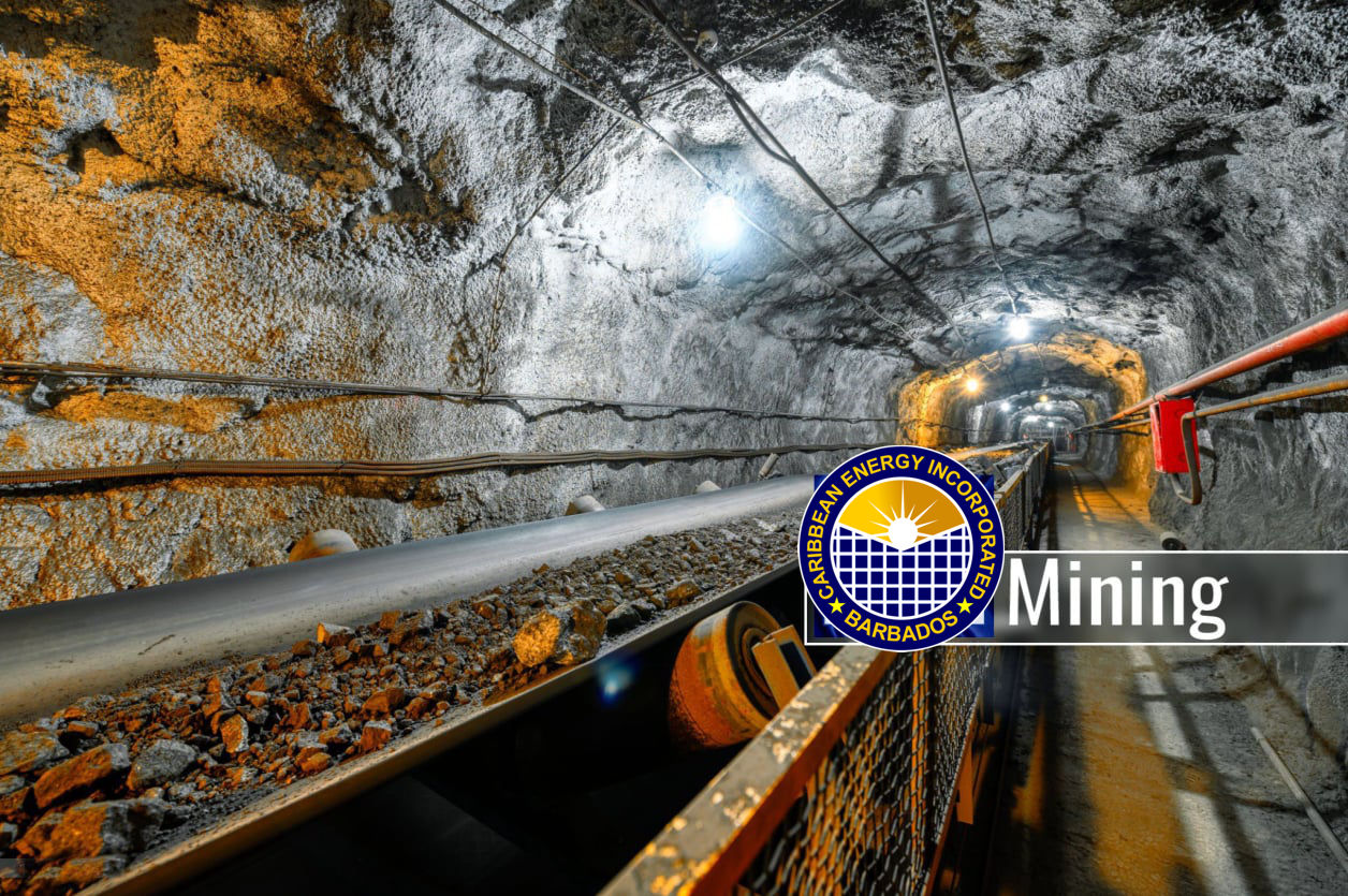 Mineral Resources